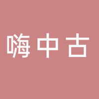 江山市嗨中古电子商务有限公司
