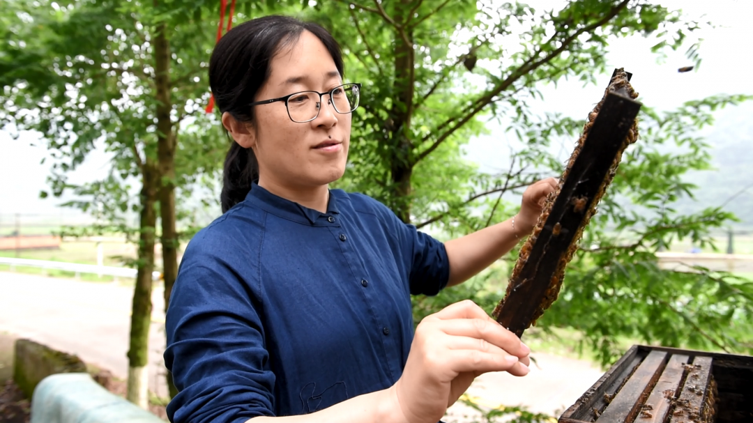 【新江山人】第六期：“18年了，我很自豪成为江山的一只蜜蜂”